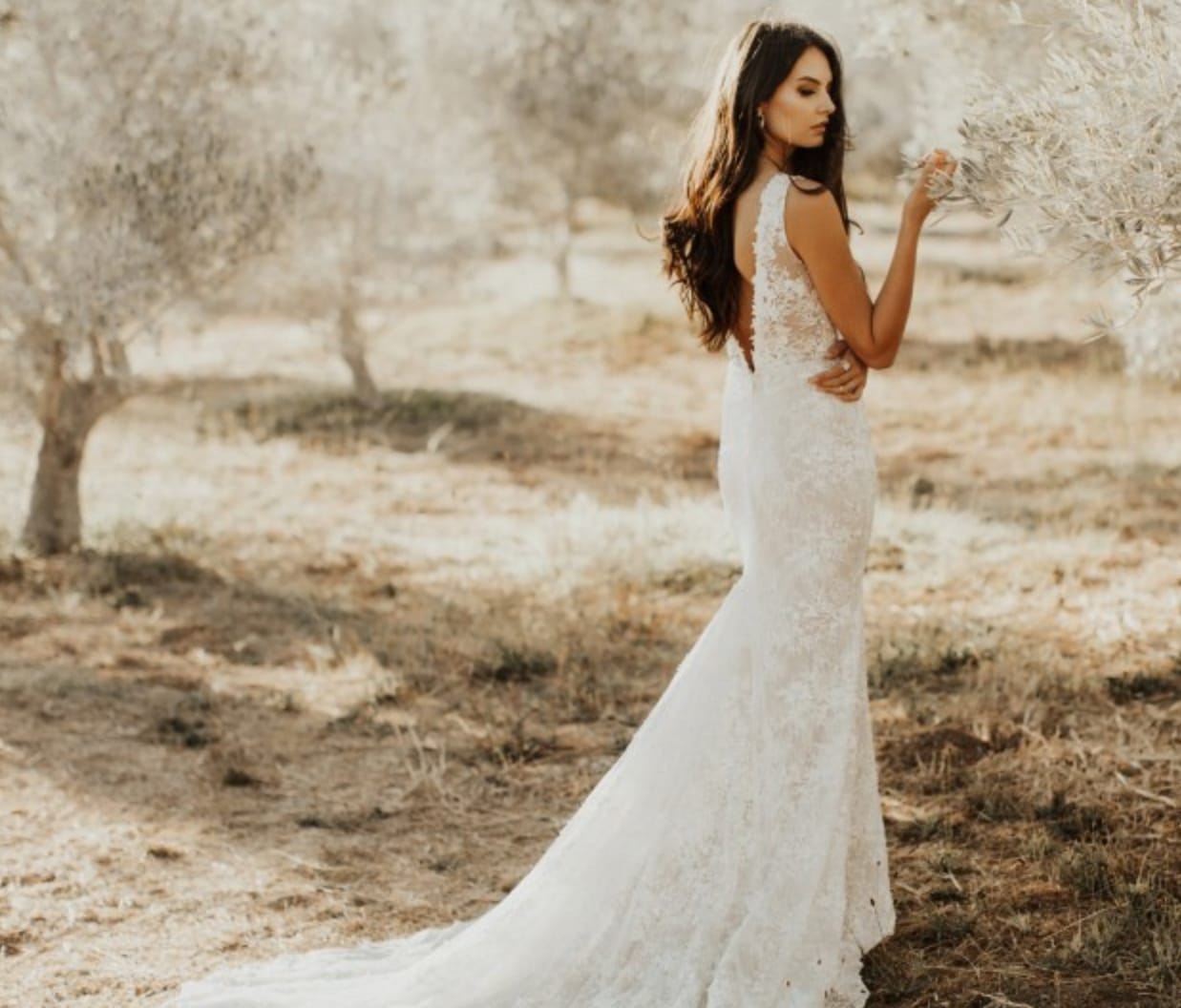 Love and Lace New Designer Tara Lauren | www.loveandlacebridalsalon.com